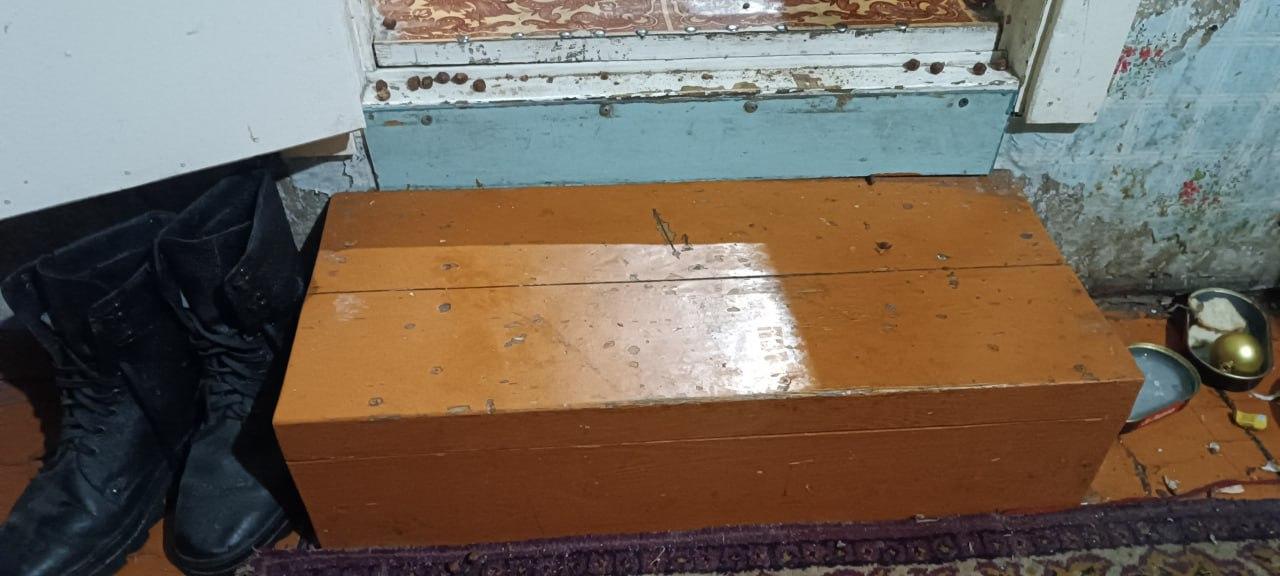 Фото Жительница Новосибирской области убила собственного сына, упав с лестницы 3